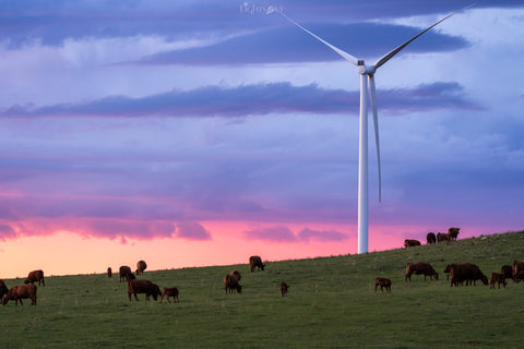 Oliver County Windfarm