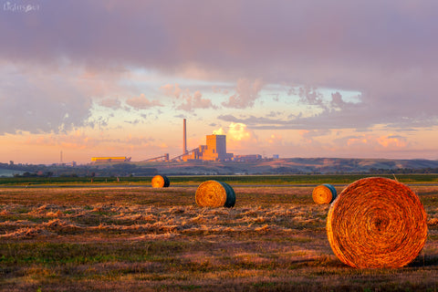 Rural Mercer County Landscape - Coyote Station